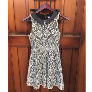 Collared Sleeveless Lace Skater Dress